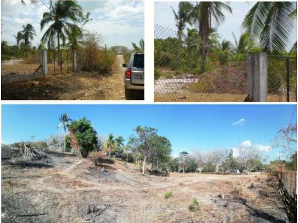 TERRENO EN PLAYA GORGONA