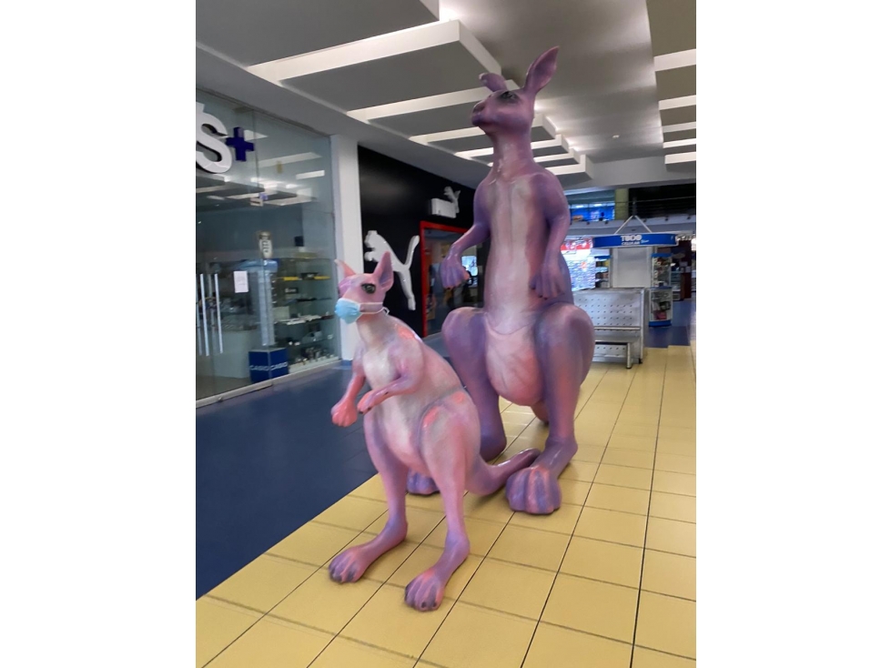 LOCAL COMERCIAL 170 MTS ALBROOK MALL - 2