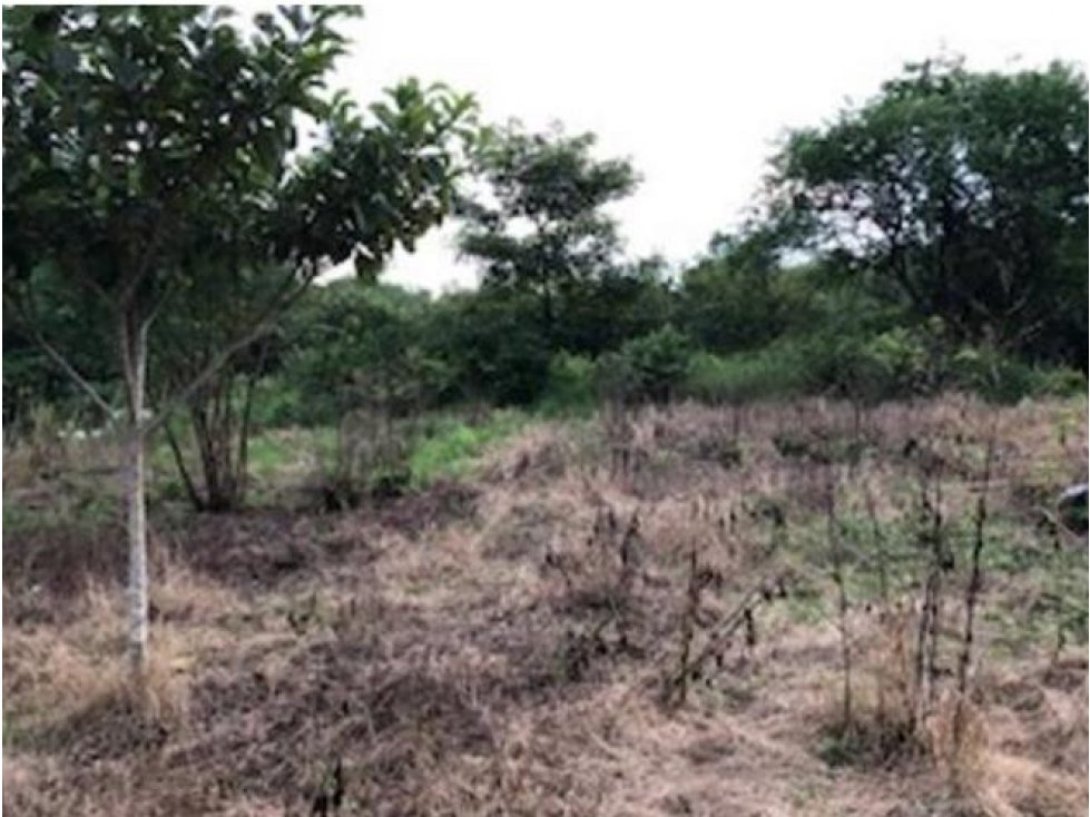 VENTA DE TERRENO EN AGUADULCE COCLE - 2