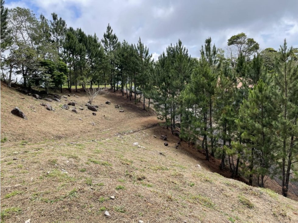 SE VENDE TERRENO EN ALTOS DEL MARIA POR BUENA VISTA 3828 M2 - 4