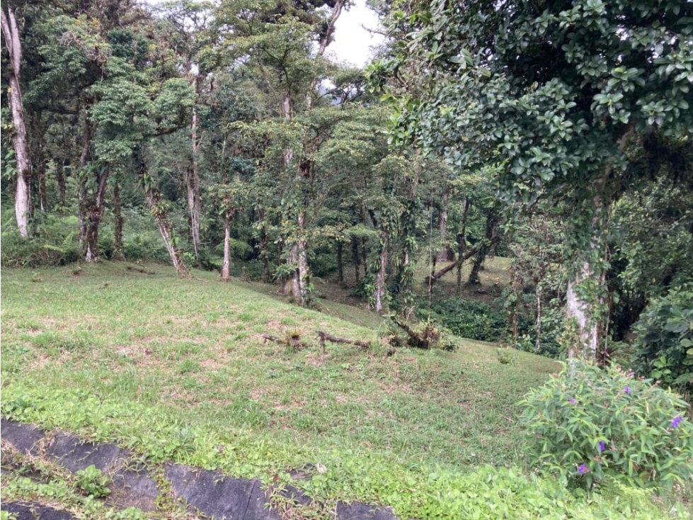 SE VENDE TERRENO EN ALTOS DEL MARIA UBICADO EN LA RIOCA 2237 m2 - 2