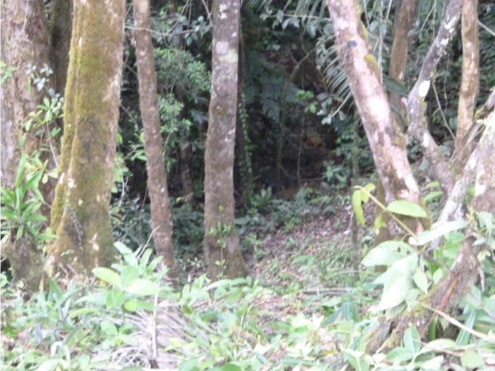 SE VENDE TERRENO EN ALTOS DEL MARIA 1.560 m2 - 5