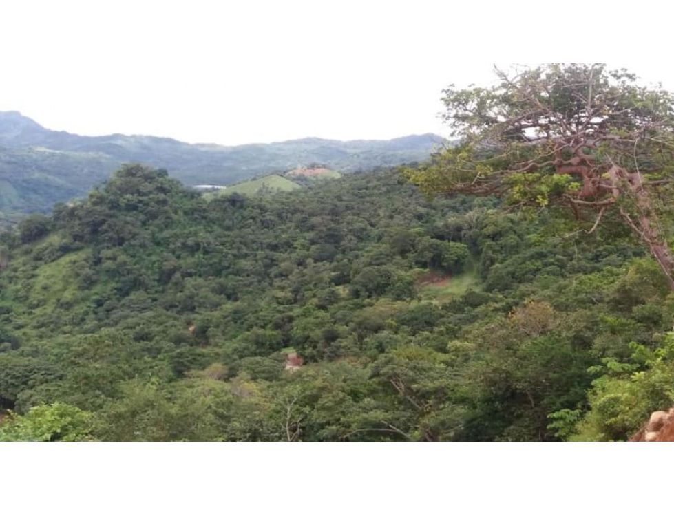 SE VENDE TERRENO EN ALTOS DEL MARIA 1664.77M2 - 4
