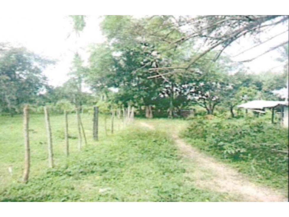 TERRENO EN VENTA DE CASI 4 HECTAREAS EN RIO HATO - 1