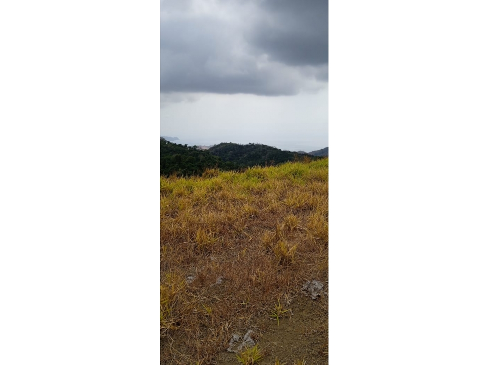 VENDO 1080 HECTAREAS EN TONOSÍ CON VISTA AL MAR - 3