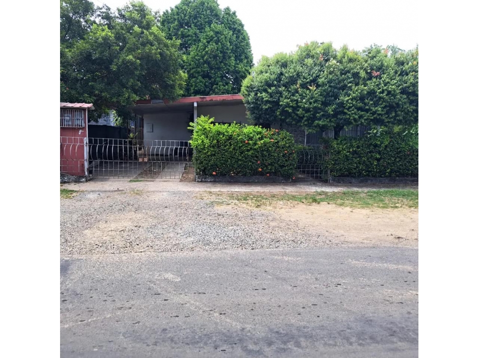 VENDO PROPIEDAD DE 945M2 Y 16 METROS DE FRENTE DE CALLE FERIA DAVID — foto 3