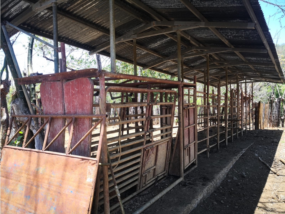 VENDO 900 HECTAREAS EN EL SUR DE SONÁ DE VERAGUAS - 2