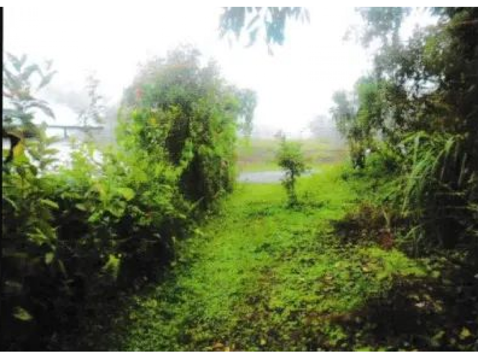 VENTA DE TERRENO EN VERAGUAS - SANTA FE 1 HECTARIA - 4