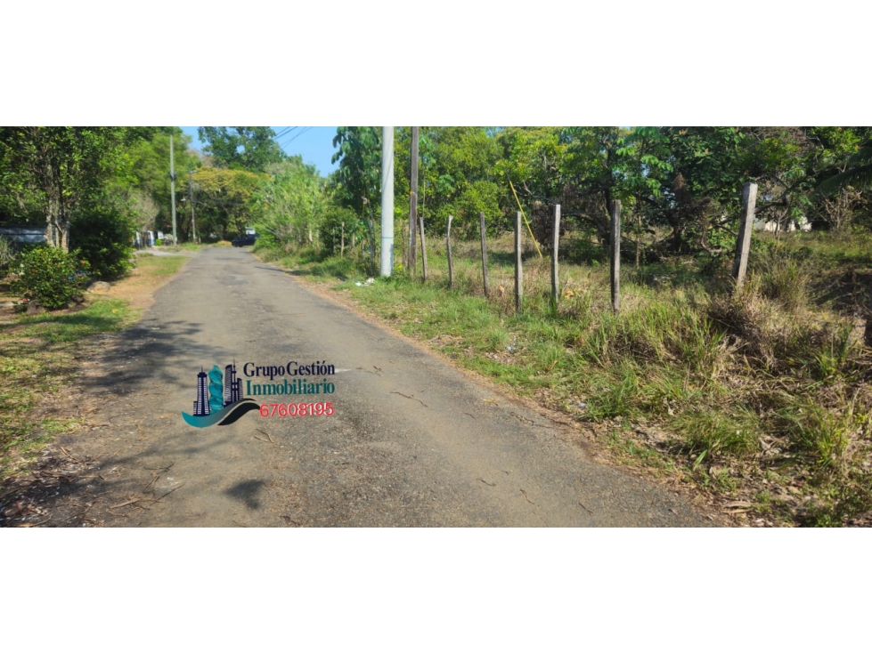 LOTE DE 1100 METROS EN ALGARROBO CHIRIQUI - 2