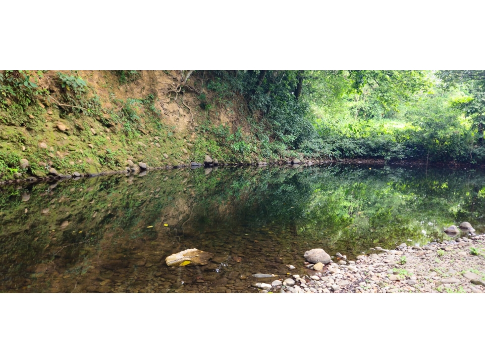 VENDO FINCA DE 2 HAS EN HIGO - 2