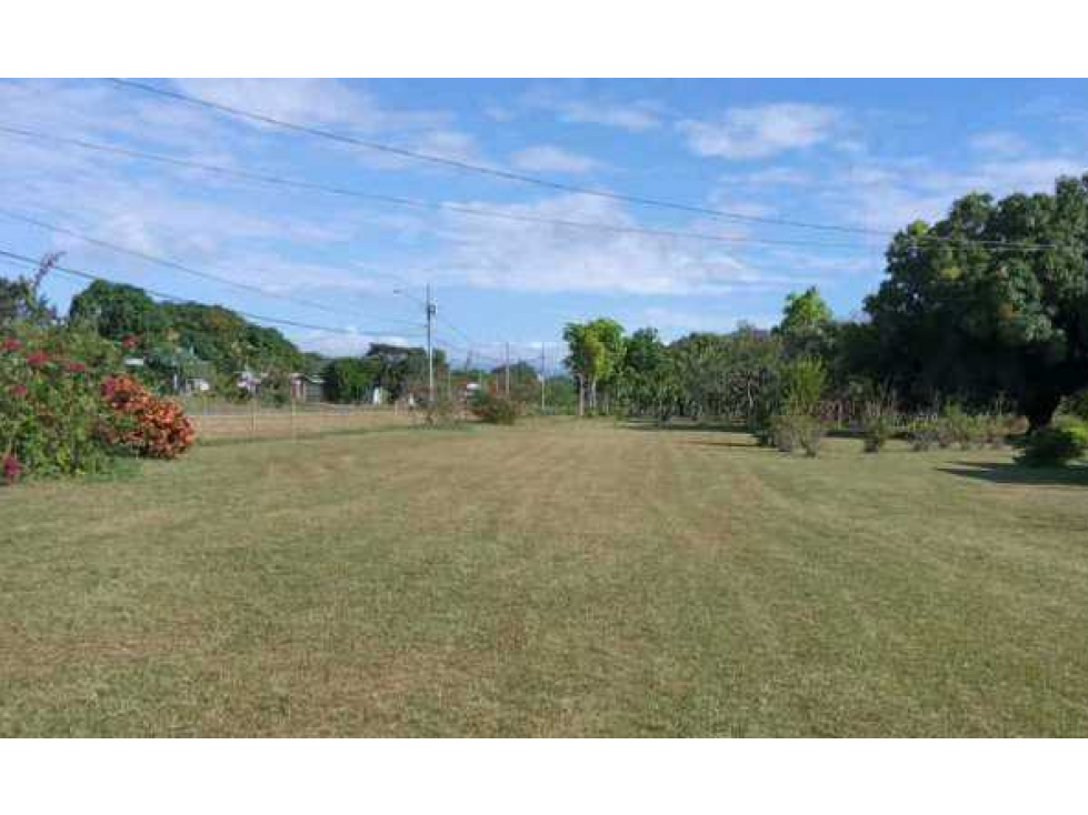 VENTA DE FINCA EN RÍO HATO, ANTÓN ÚNICA OPORTUNIDAD - 2