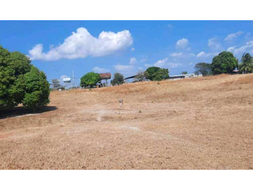 VENTA DE LOTE EN CORONADO LAS LAJAS / CHAME - TERRENO DE 14,446 — foto 2
