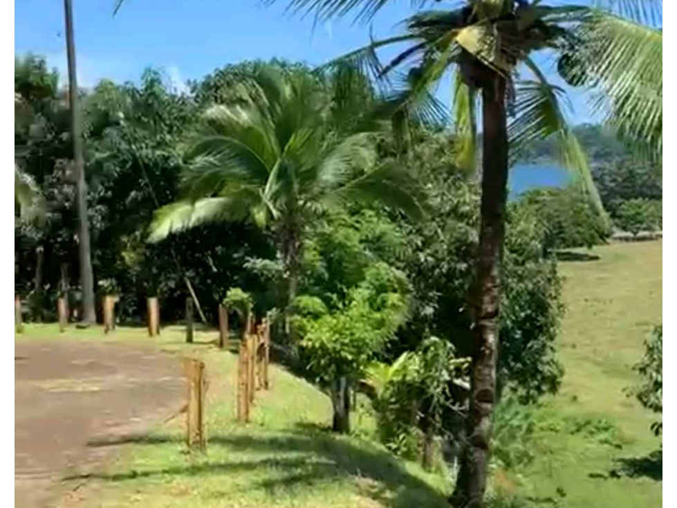 VENTA DE FINCA GANADERA EN COLÓN MARIA CHIQUITA, HERMOSA Y OPERATIVA - 2