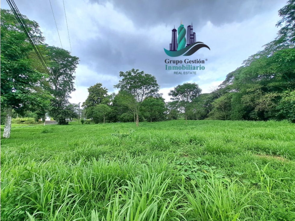 VENTA DE TERRENO DE 9,000 M2 DAVID - 2