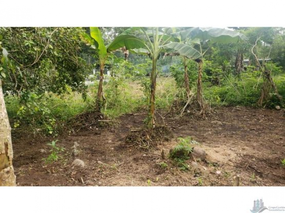 VENDO LOTE EN CHIRIQUI LA MATA DE BUGABA - 3