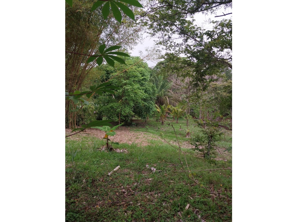 VENTA TERRENO NEGOCIABLE RIO HATO - 4