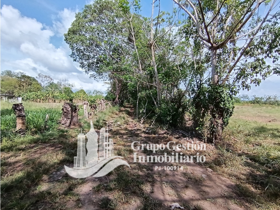 Venta Finca en Querevalo - 3