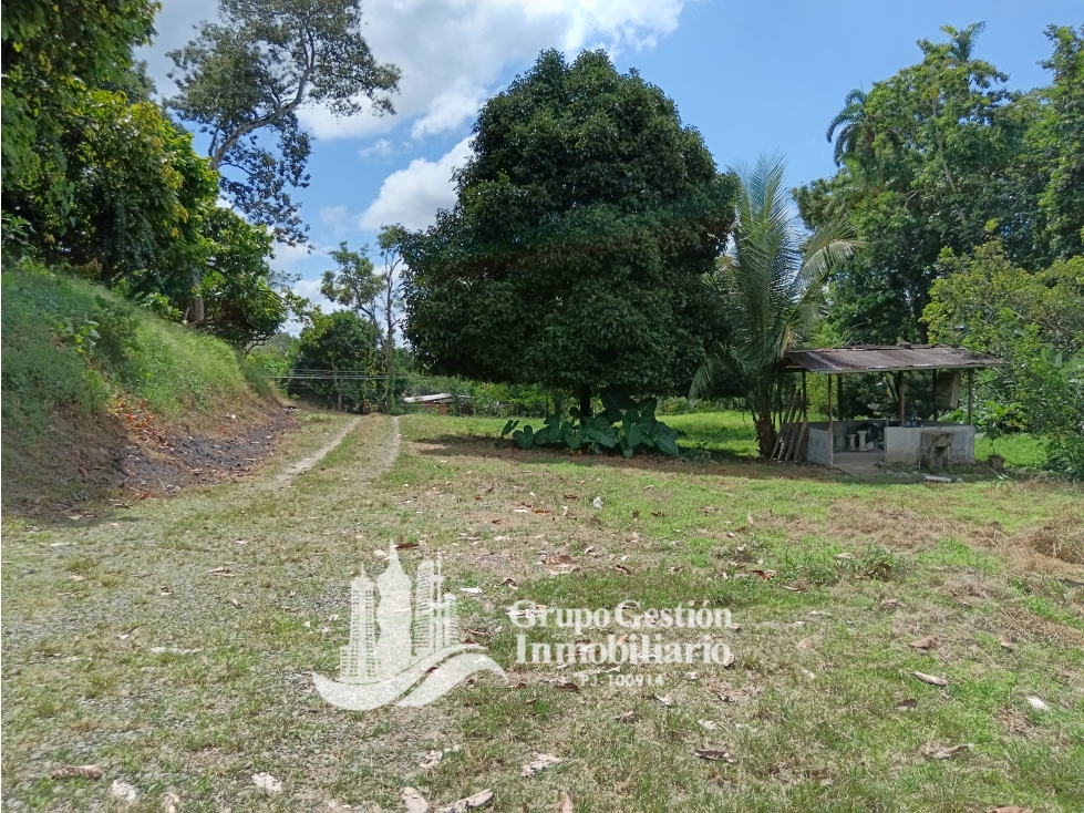 Vendo Lote en Interamericana en Santa Marta Bugaba Chiriqui - 2