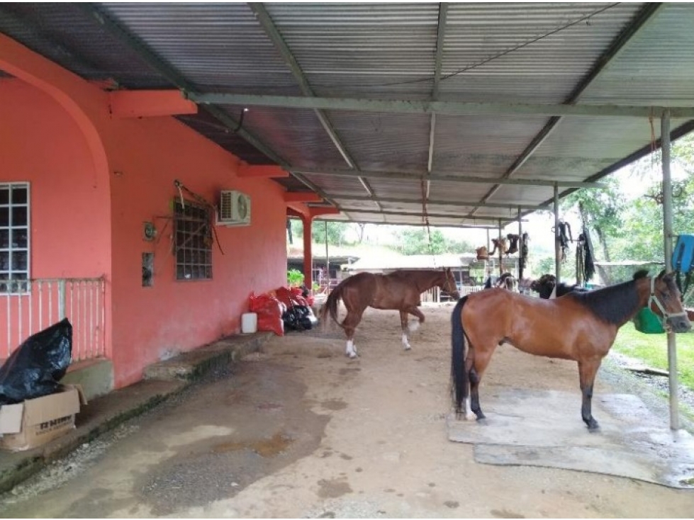 VENTA DE TERRENO EN TONOSÍ ALTOS DEL GUERA - 3