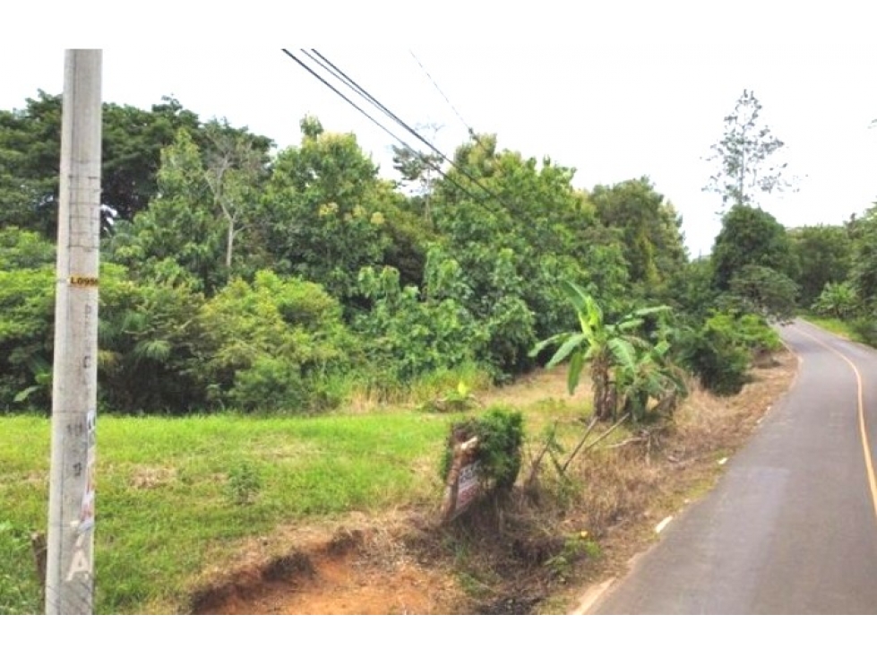 VENTA DE TERRENO EN PARITA - CABUYA VÍA LOS OLIVOS - 3
