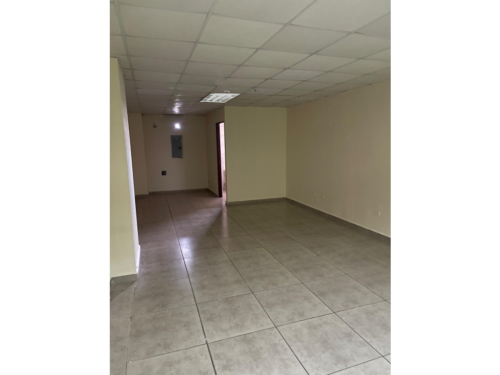 Local Oficina Comercial en David Plaza Coopeve - 2