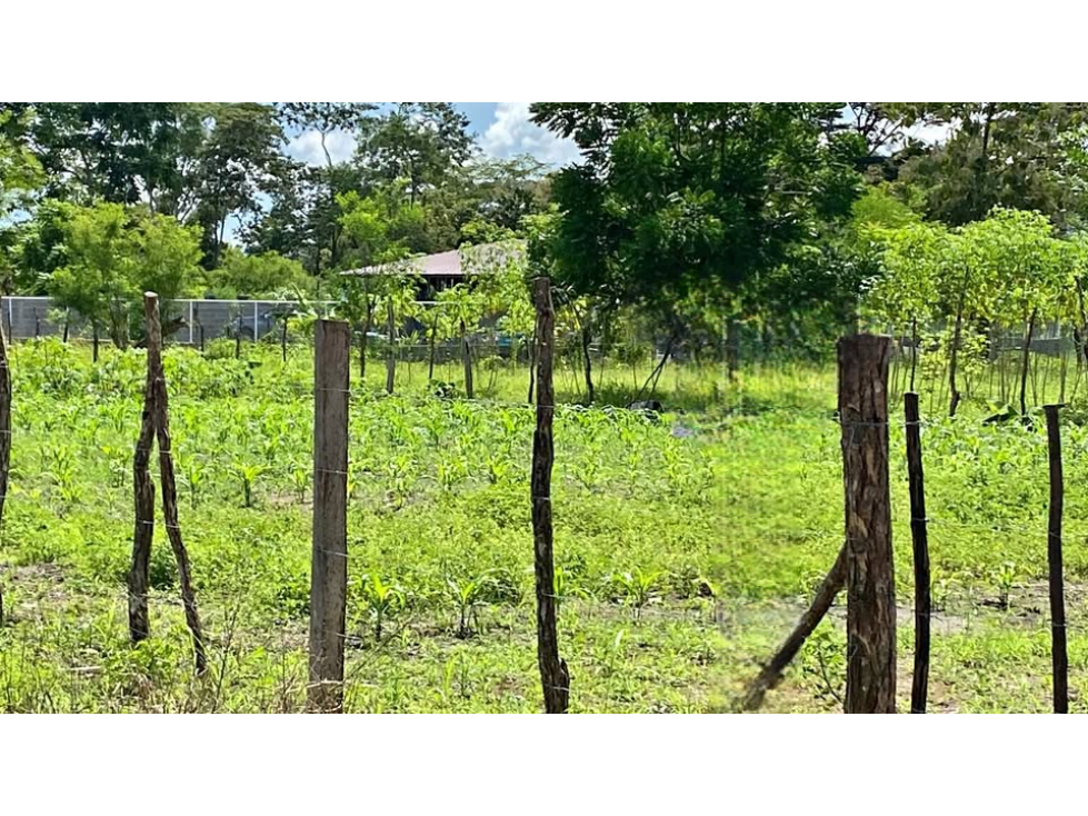 Vendo Lote Titulado Boqueron orilla de carretera - 2