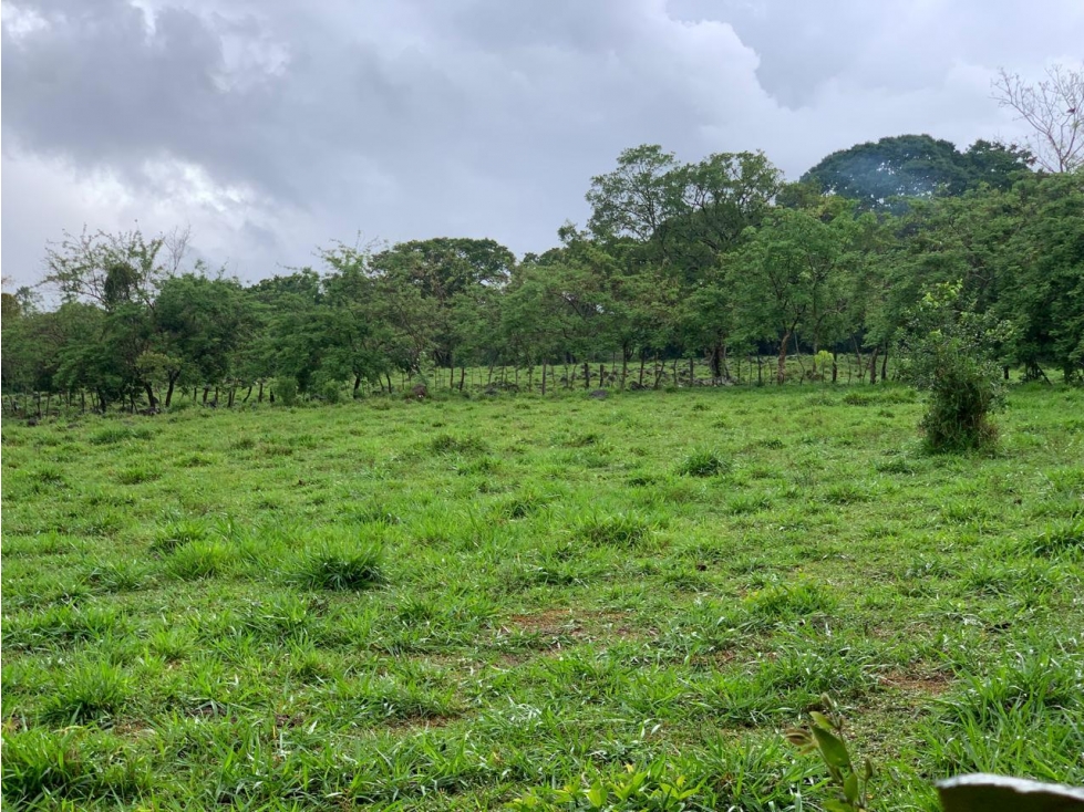 Vendo Finca en Tinajas de Dolega - 2