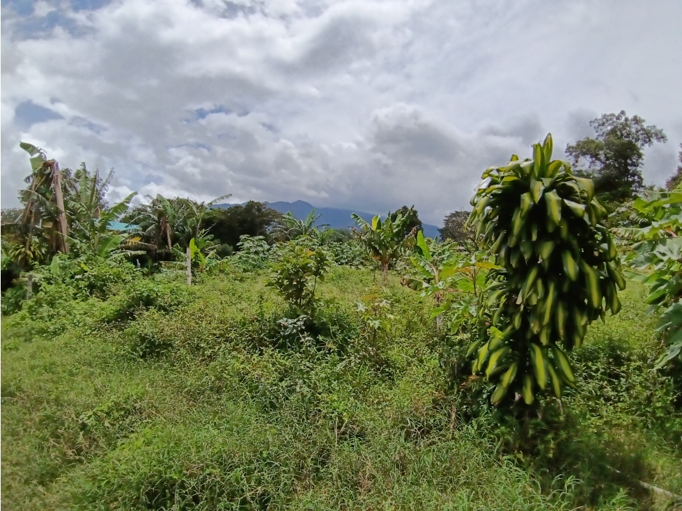 Vendo hermoso Lote con hermosa vista Palmira Boquete #5 — foto 2