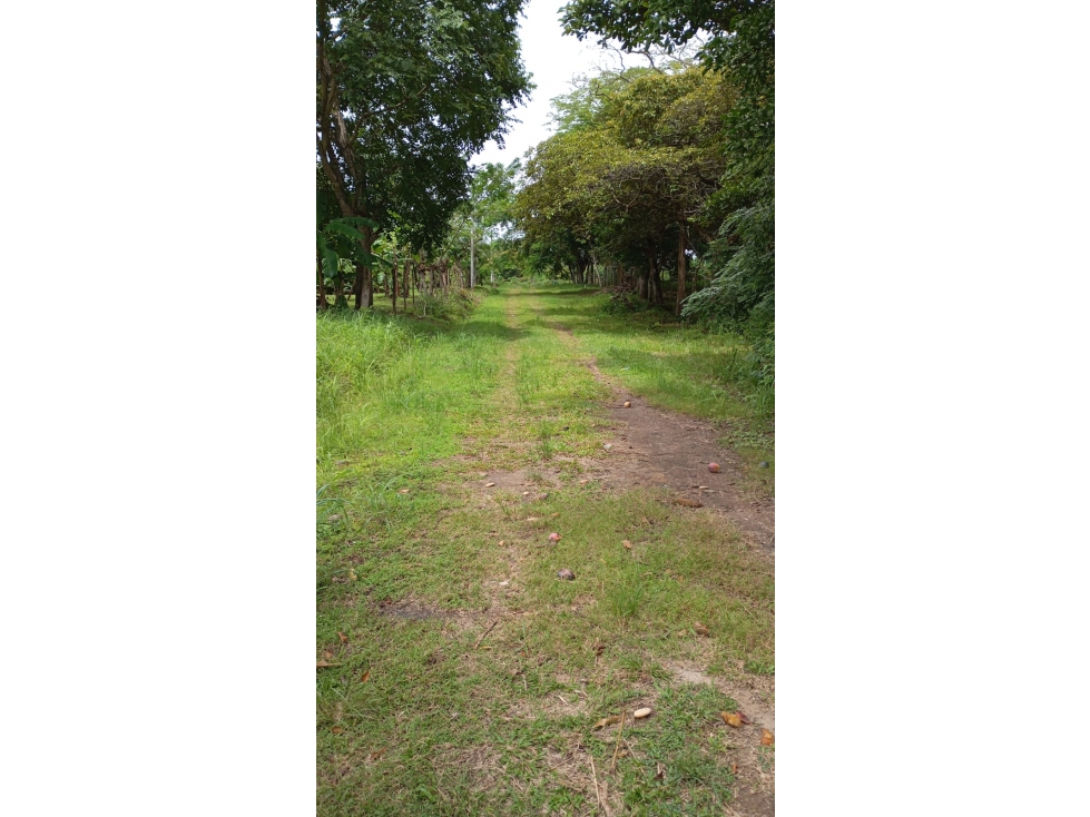 VENTA DE TERRENO EN ANTON 1000 MTS2 - 2