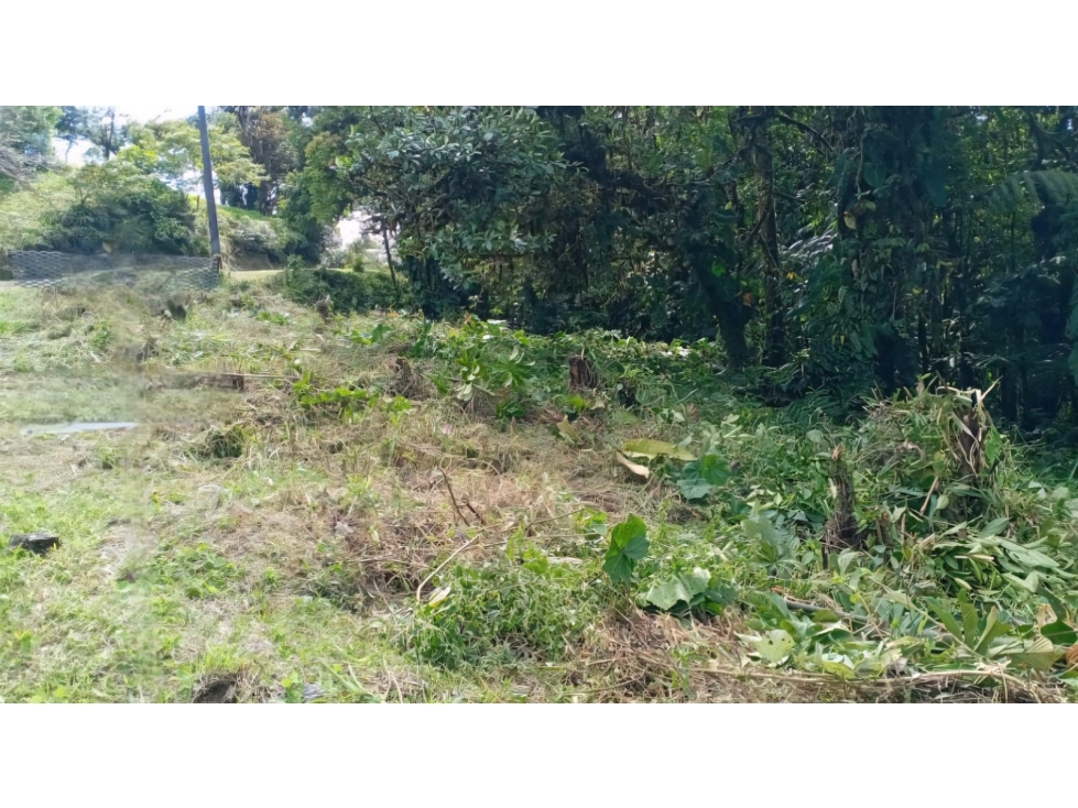 VENTA LOTE ALTOS DEL MARIA 3367 M2 ULTIMO PRECIO CV — foto 4