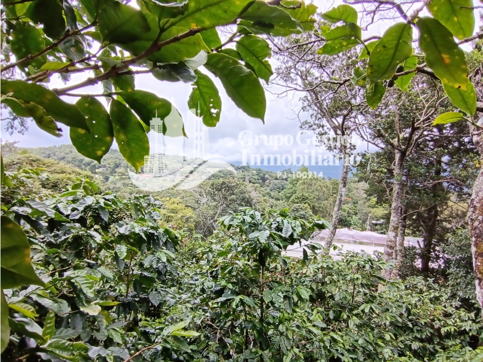 Finca en venta Palmira, Boquete #6 Hermosa vista - 3