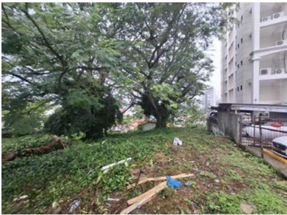 VENTA DE LOTE REBAJADO EN HATO PINTADO Z1R3 MYP — foto 6