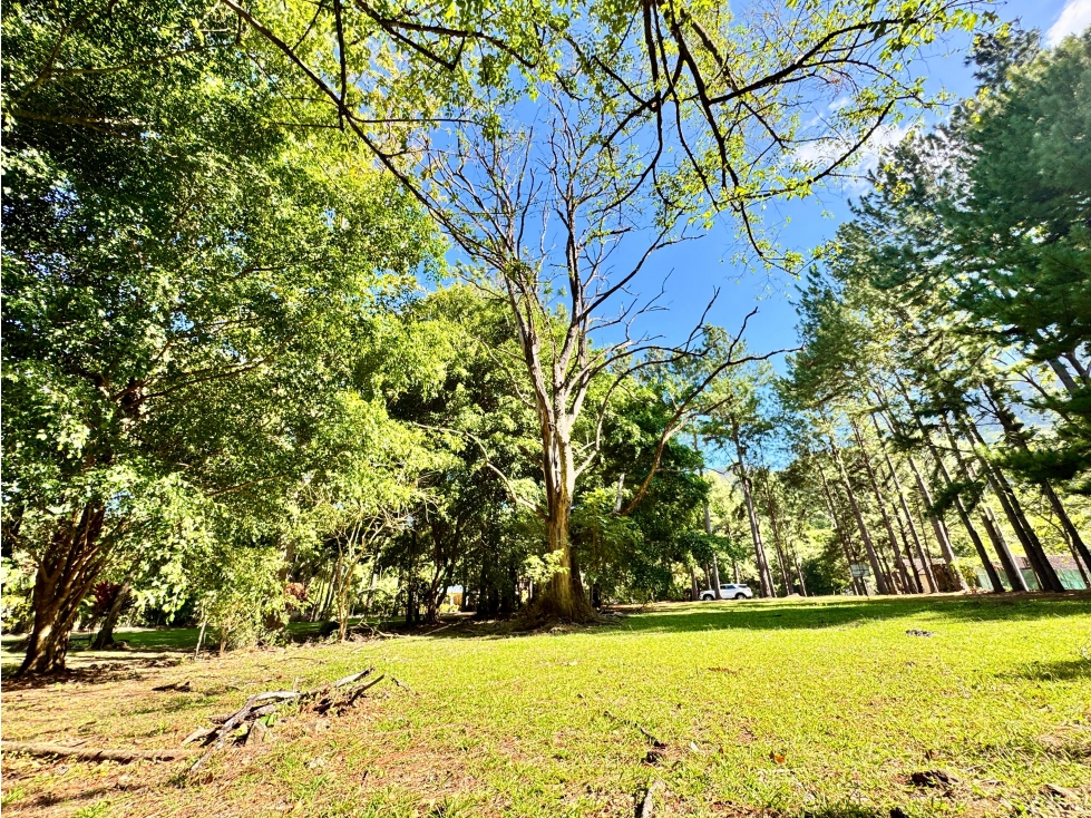 VENTA DE TERRENO EN ALTOS DEL MARIA 1604M2 CV