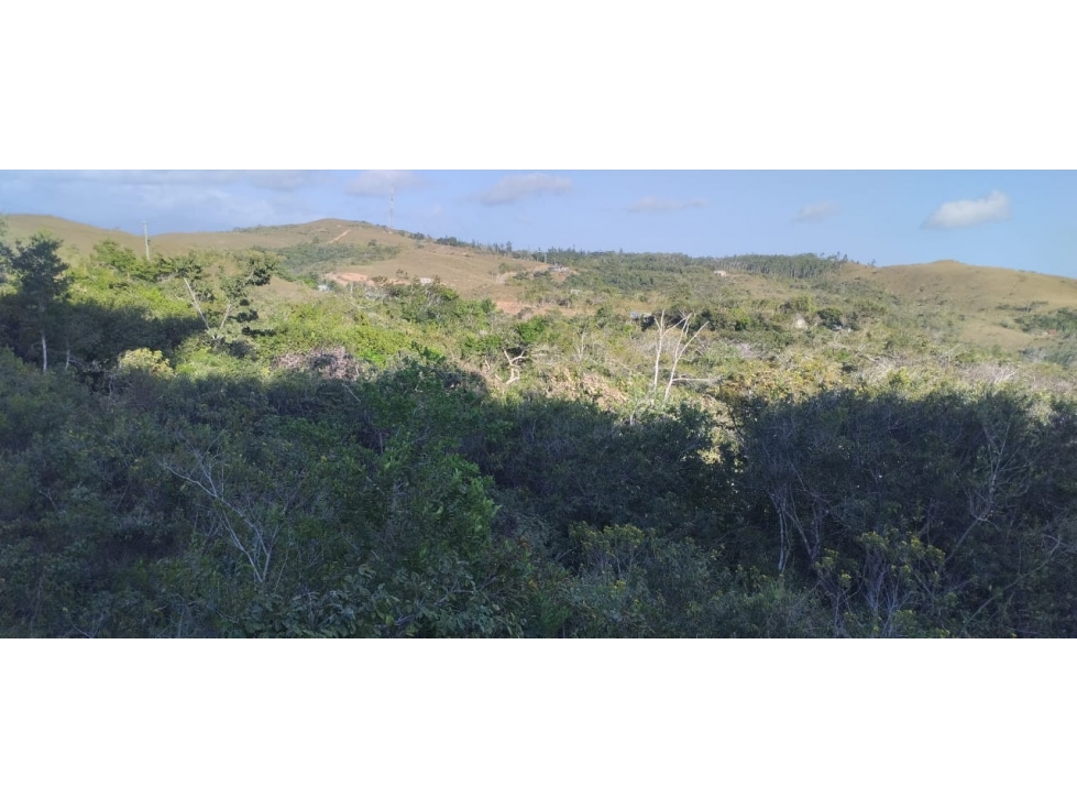 VENTA FINCA PENONOME 24,303 m2 FRENTE A CALLE PRINCIPAL MLD