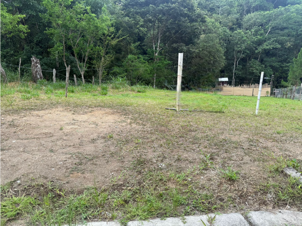 Venta Lote en Potrerillo Arriba - 2