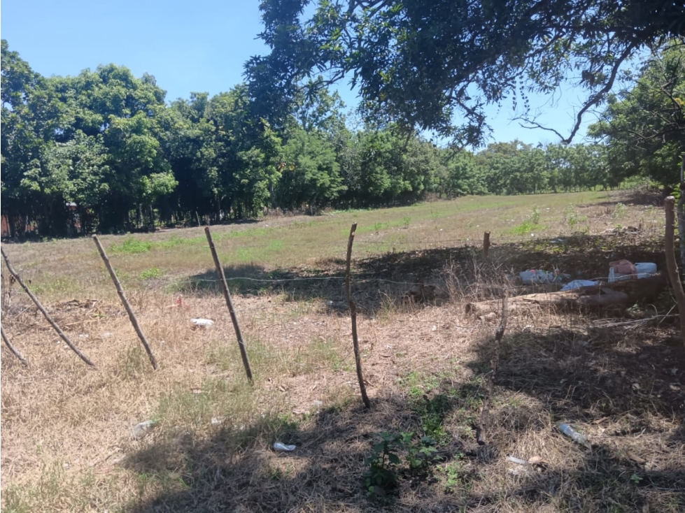 SE VENDE LOTE EN ALANJE, 137,000.00, CHIRIQUI, ZONA CON GRAN POTENCIAL - 2