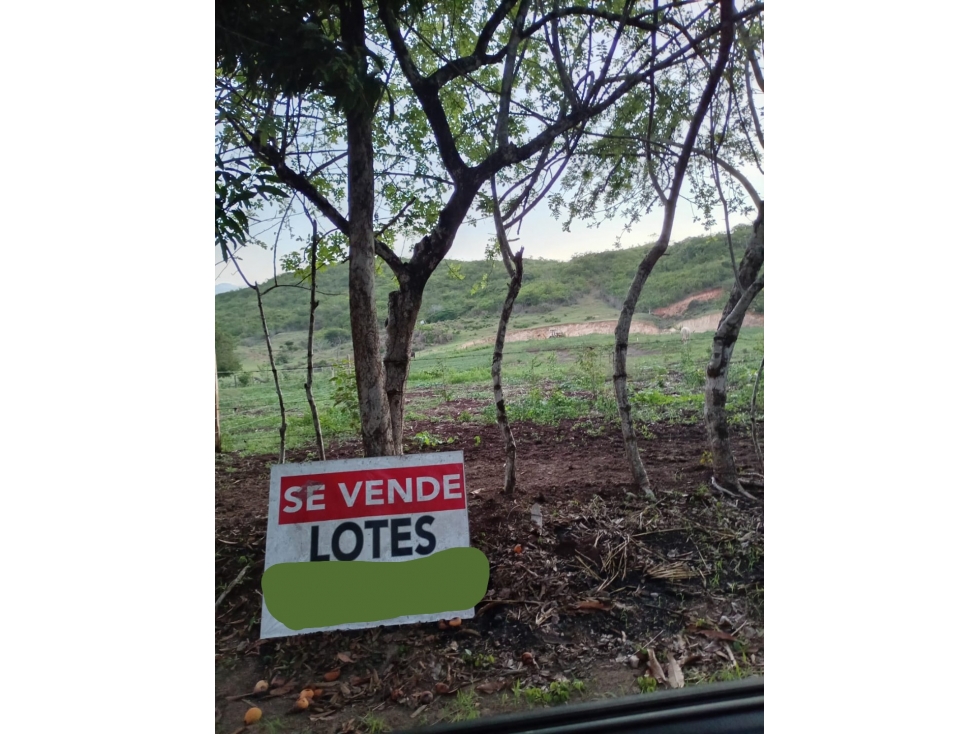 SE VENDE LOTE DE TERRENO EN EL PEDREGOSO DE PESÉ - 2