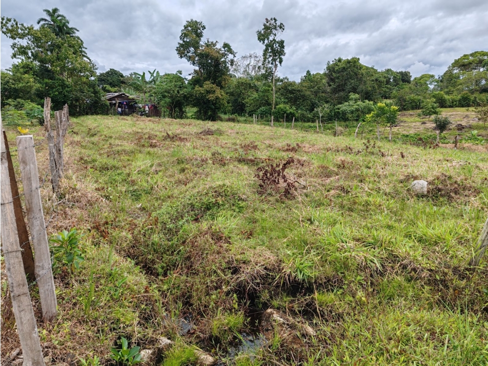VENTA DE LOTE EN AGUACATE DISTRITO DE BOQUERON CLIMA AGRADABLE - 2