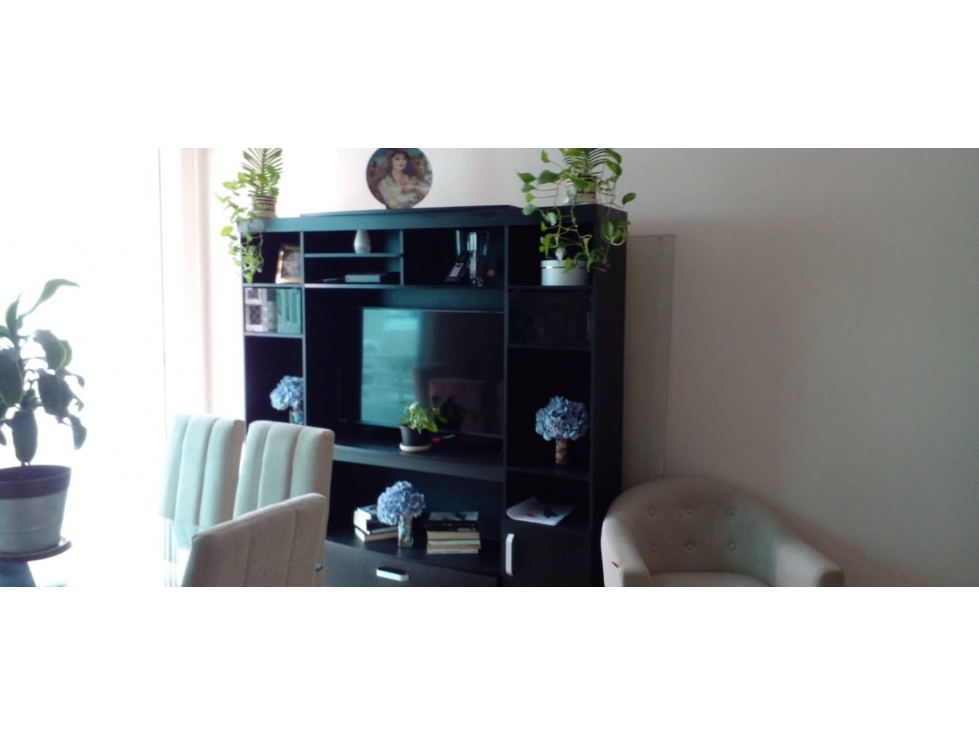 VENDO APARTAMENTO AMOBLADO EN EL CANGREJO PH MARQUIS TOWER — foto 2