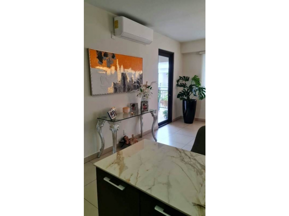 VENDO HERMOSA CASA EN RESIDENCIAL PANAMA PACIFICO RIVER VALLEY YL — foto 5