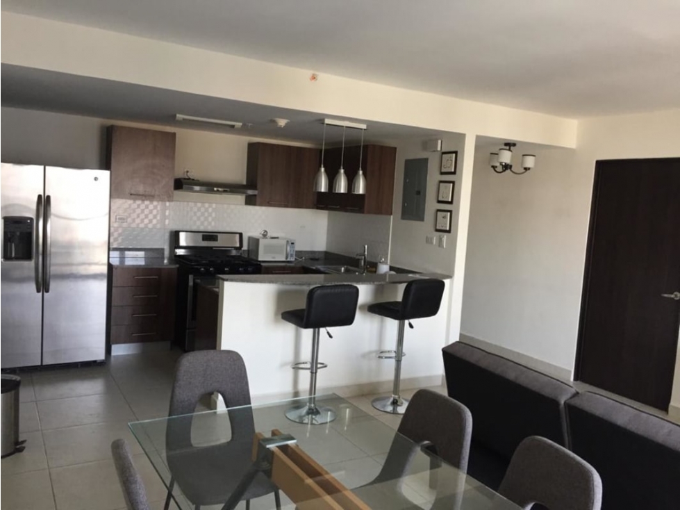 VENDO APARTAMENTO PANAMA PACIFICO MIDRISE WOODLANDS 2REC — foto 2
