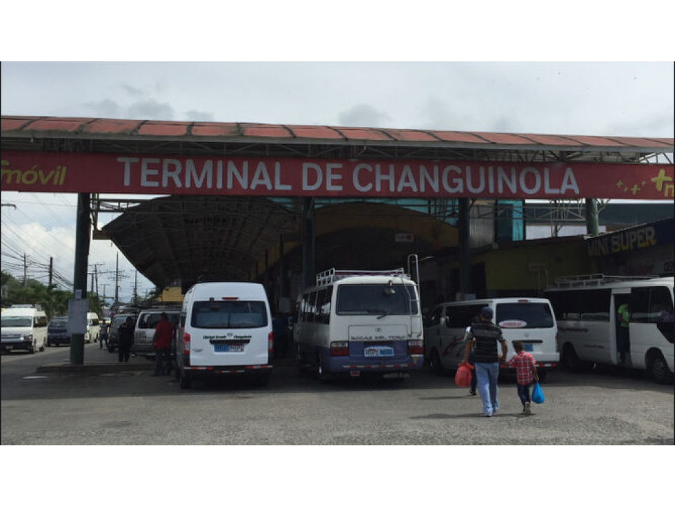 TERRENO DE 79.3 HAS CON QUEBRADA EN CHANGUINOLA, BOCAS DEL TORO - 5