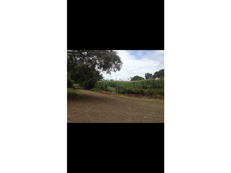 VENDO TERRENO DE 9.5 HECTARES EN GUARARE, LOS SANTOS - 6