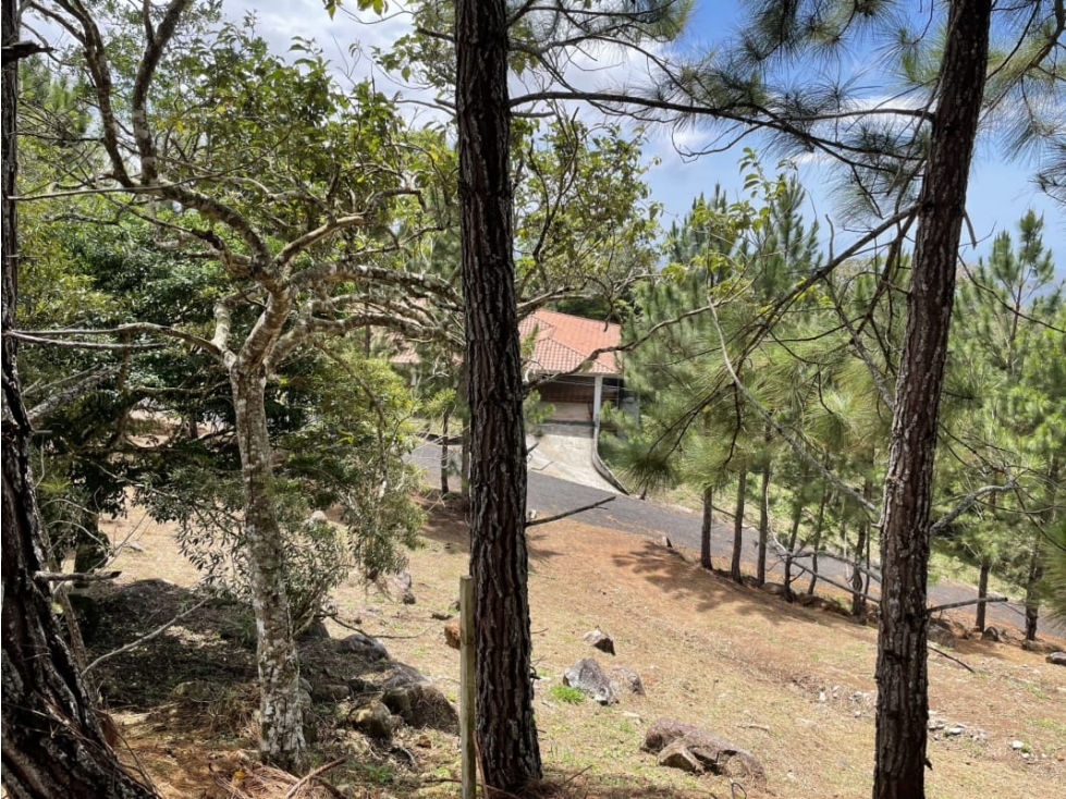 SE VENDE TERRENO EN ALTOS DEL MARIA POR BUENA VISTA 3828 M2 - 5