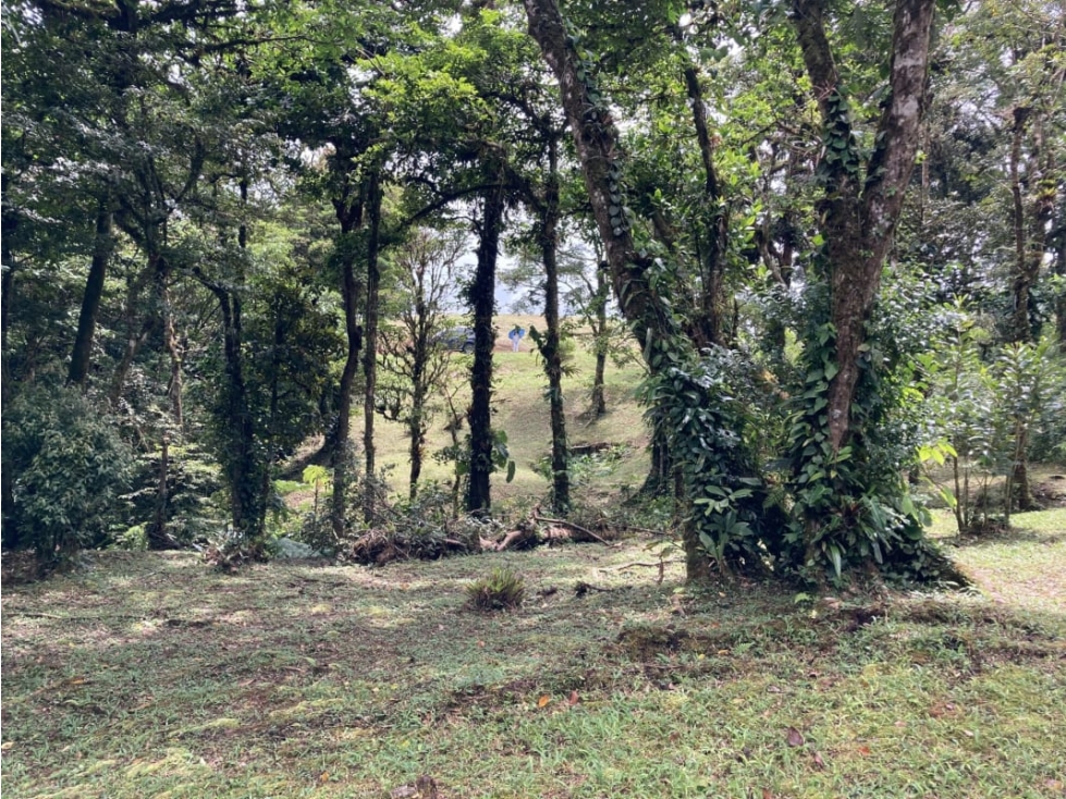 SE VENDE TERRENO EN ALTOS DEL MARIA UBICADO EN LA RIOCA 2237 m2 - 3