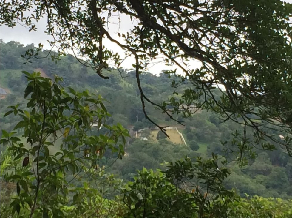 SE VENDE TERRENO EN ALTOS DEL MARIA AREA LA RIOCCA 1456.39 M2 - 3