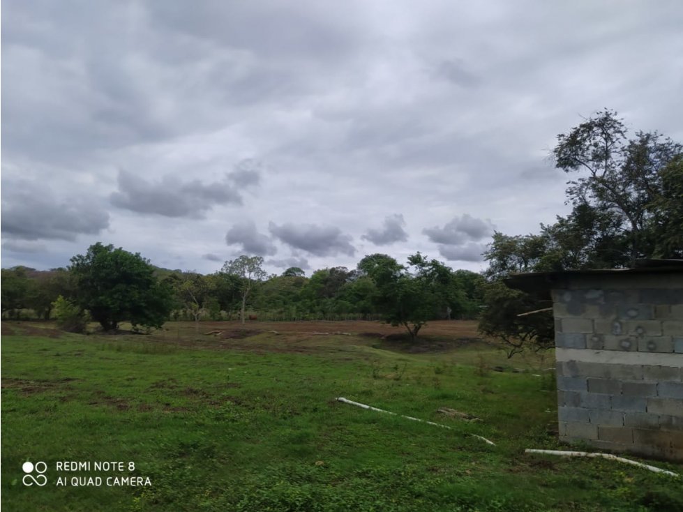FINCA EN LOS SANTOS, LA PEÑA 9750 MTS2 - 3