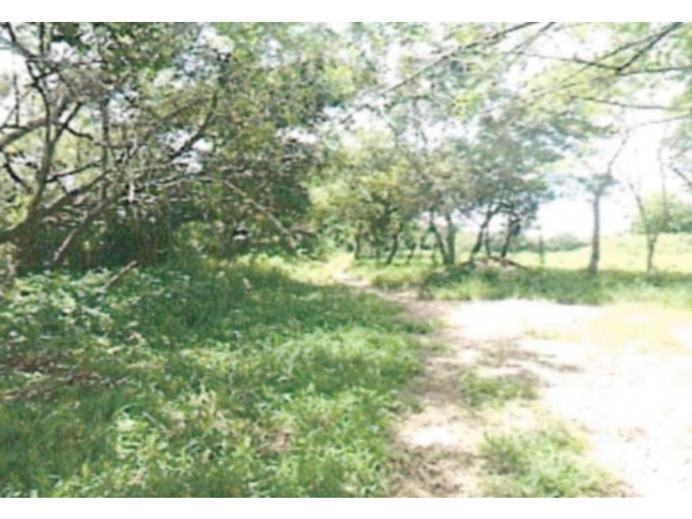 TERRENO EN VENTA DE CASI 4 HECTAREAS EN RIO HATO - 2