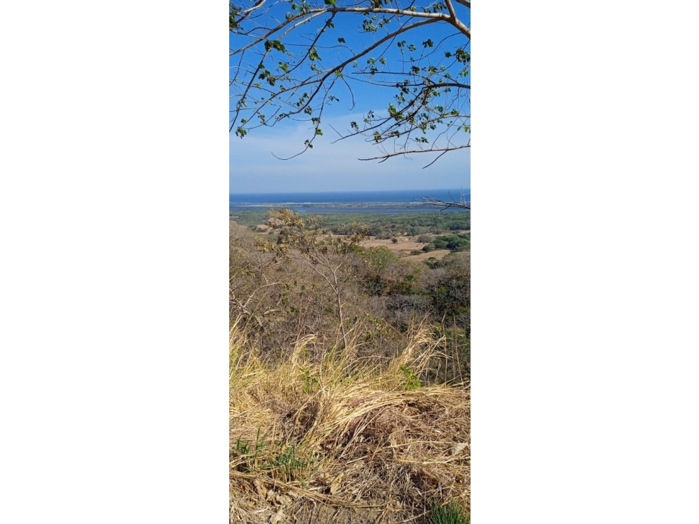 VENDO 1080 HECTAREAS EN TONOSÍ CON VISTA AL MAR - 4