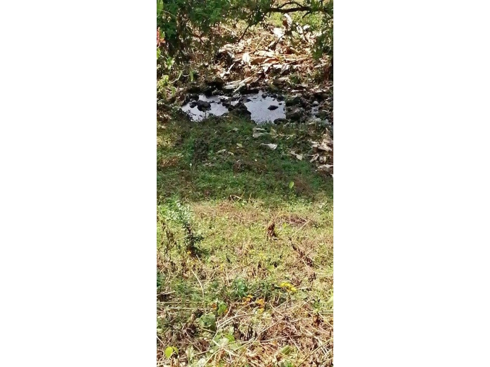 VENDO CUATRO HECTAREAS CON AGUA VIVA EN BOQUERON - 3
